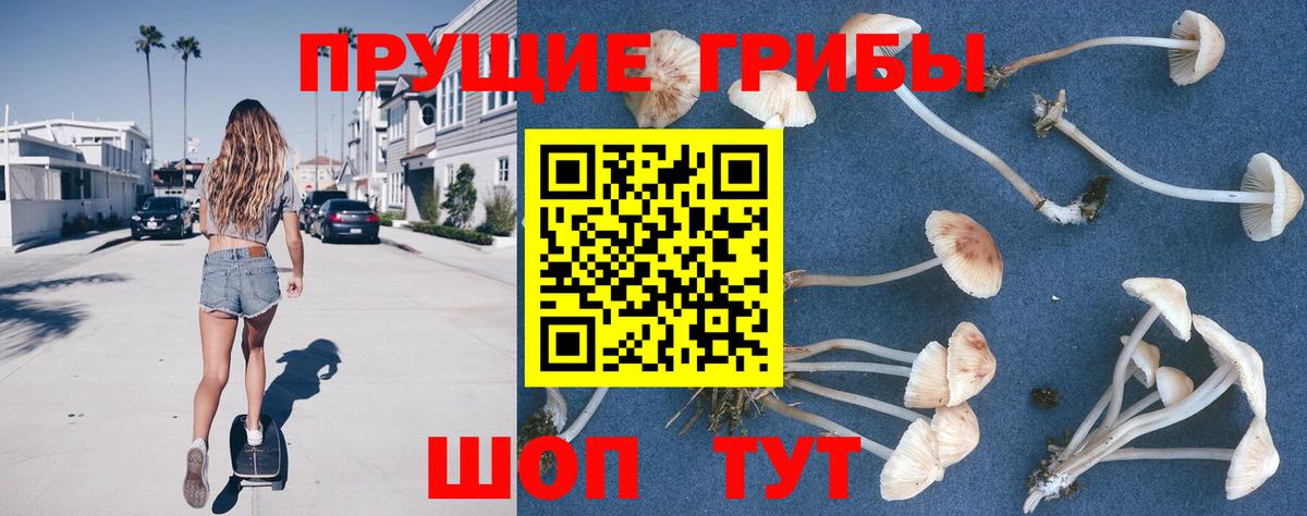 Галлюциногенные грибы ЛСД  Вход с VPN  Шатура  Псилоцибиновые грибы ЛСД 